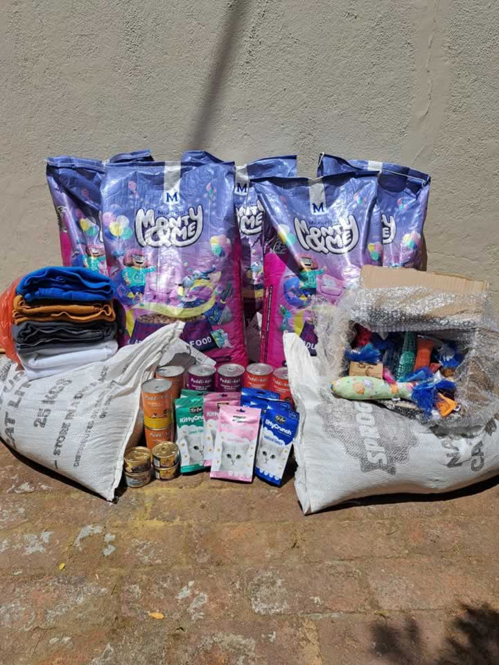 Paarl Homeless